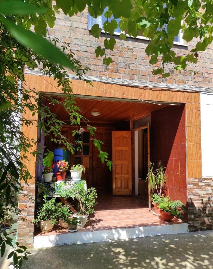 Guest House New Athos 外观 照片