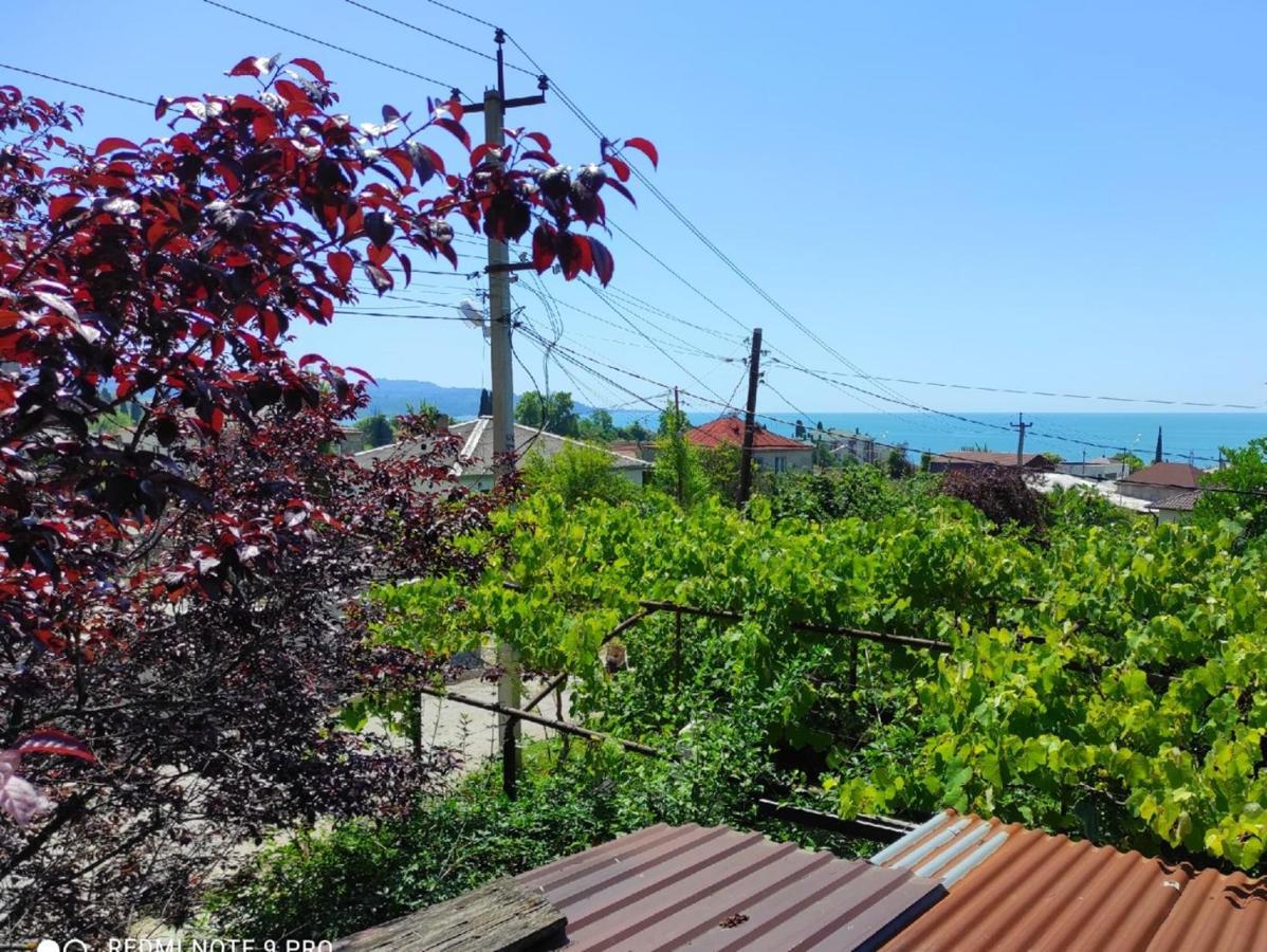 Guest House New Athos 外观 照片